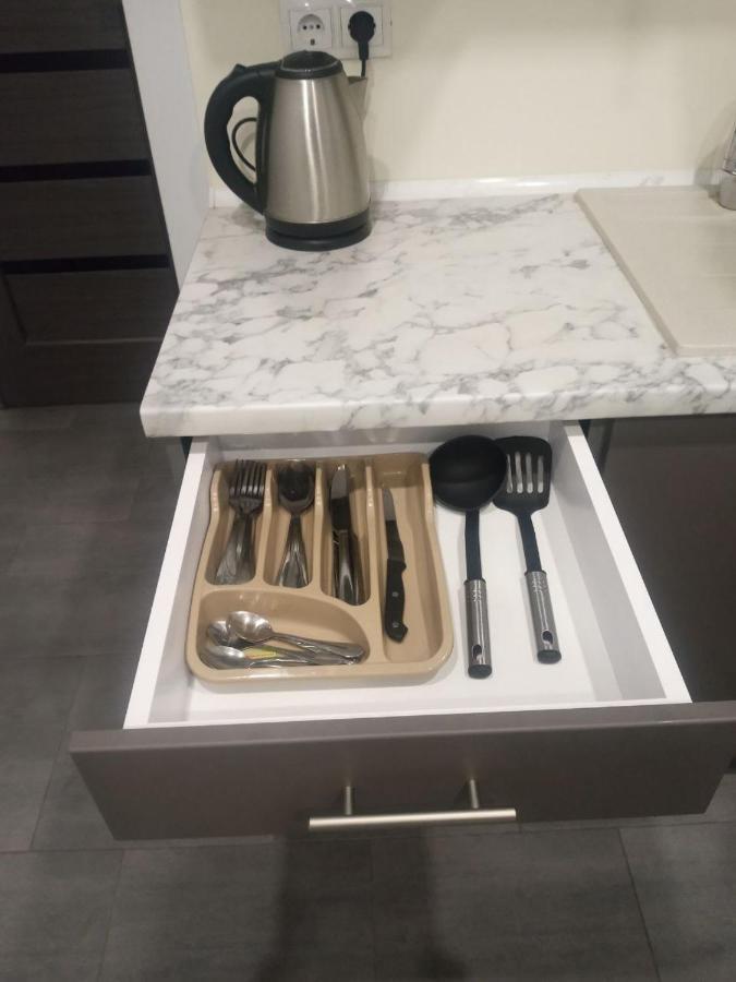 1-комнатная вип уровня посуточно в ужгороде. ул.другетов Apartment