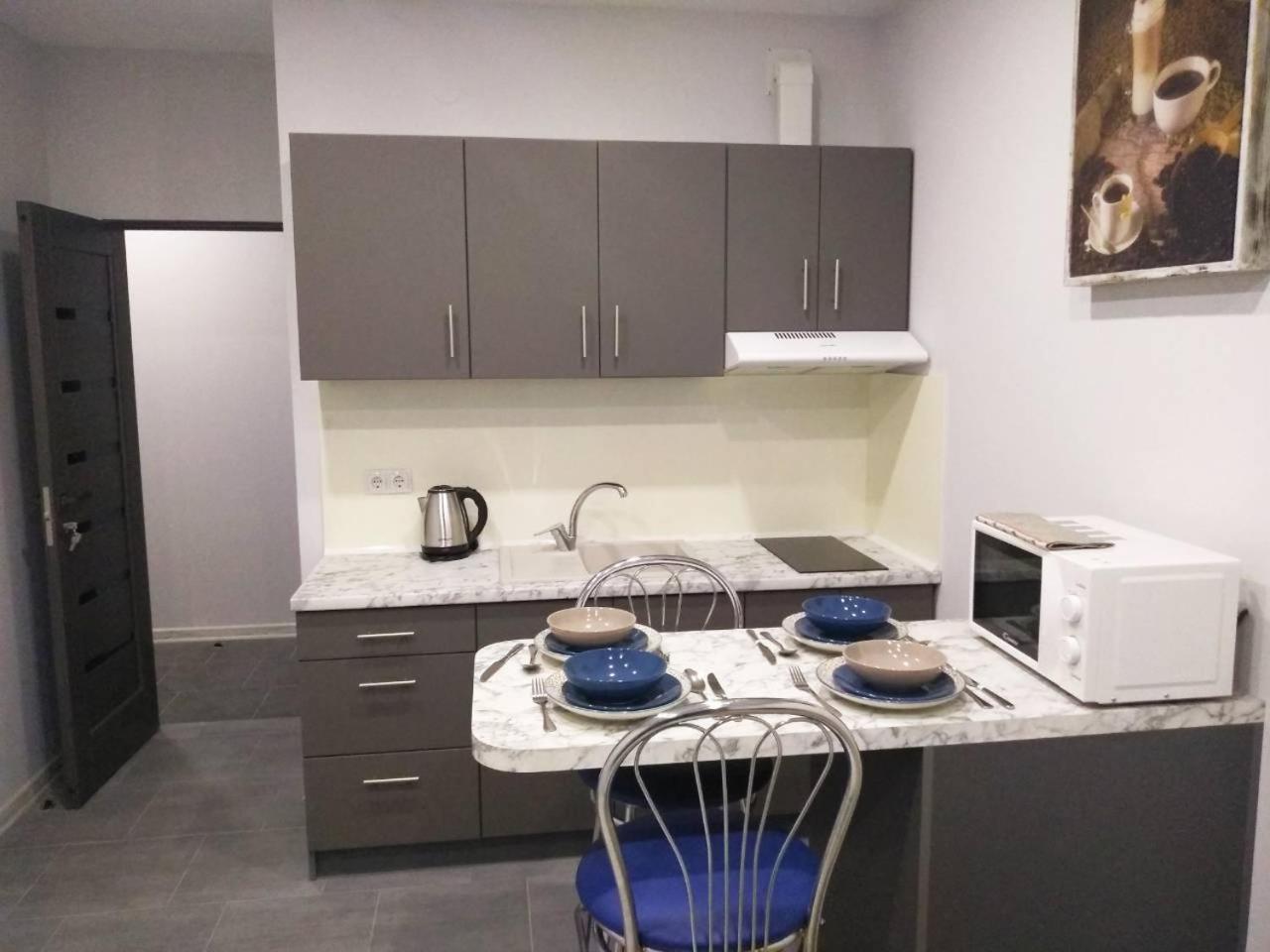 Apartment 1-комнатная вип уровня посуточно в ужгороде. ул.другетов Uzhhorod